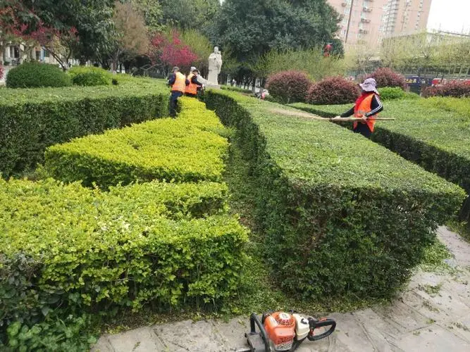 小学校园绿化工程设计规范