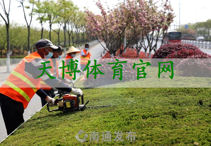 扬中城市道路绿化规范2022