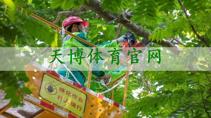 园林绿化工程能否分包土地