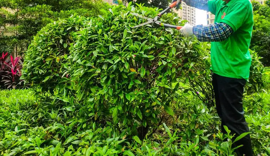 大型度假民宿园林景观设计