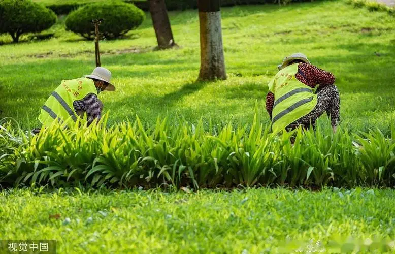 办公楼中央园林景观设计